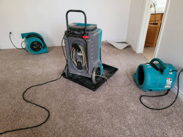 Best Water damage restoration cost  in Varnell, GA