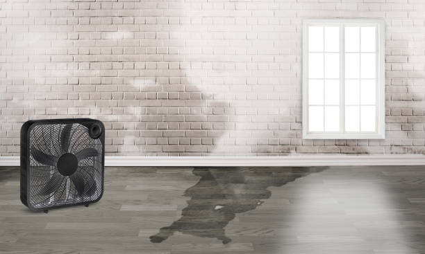 Best Water damage restoration near me  in Varnell, GA