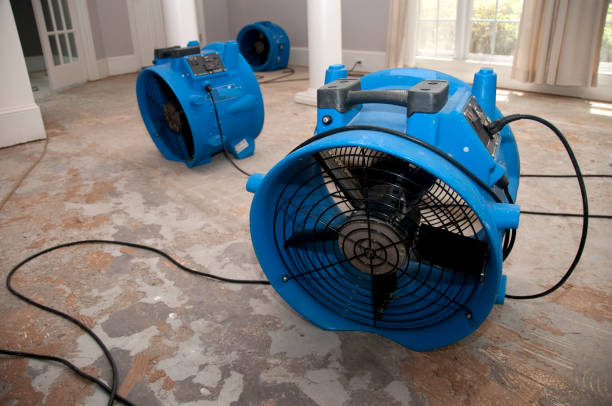 Best Flood damage cleanup  in Varnell, GA