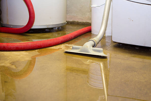 Best 24-hour water damage restoration  in Varnell, GA