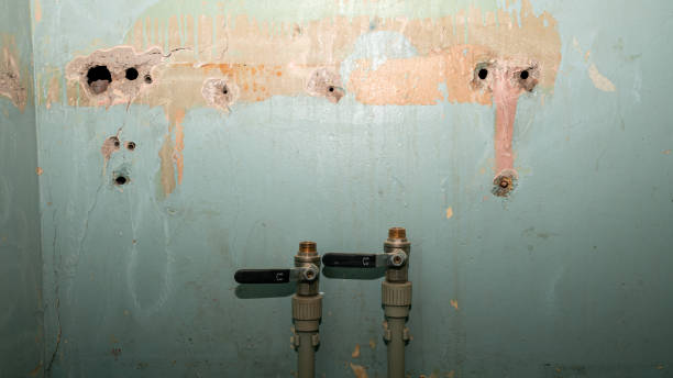 Best Flood damage cleanup  in Varnell, GA