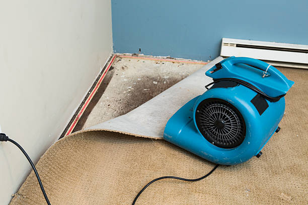 Best Water damage repair service  in Varnell, GA
